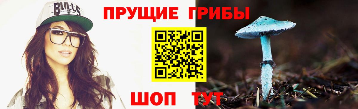 Псилоцибиновые грибы GOLDEN TEACHER  Вход с VPN  Скопин 